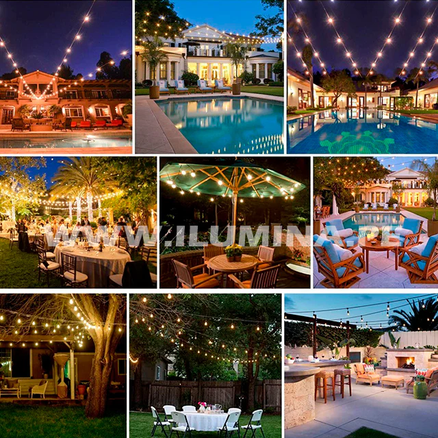 GUIRNALDA DE CAUCHO COLGANTE DE 10MTS CON 20 SOCKETS - Image 15